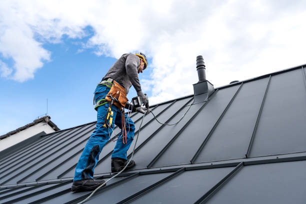 Best Roof Coating and Sealing  in Vancleave, MS